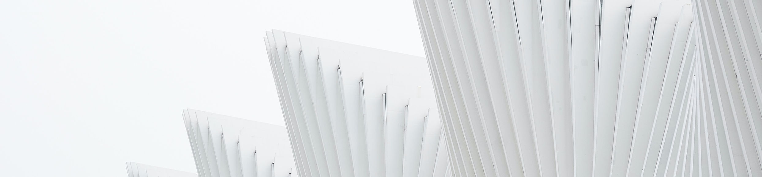 White Structure